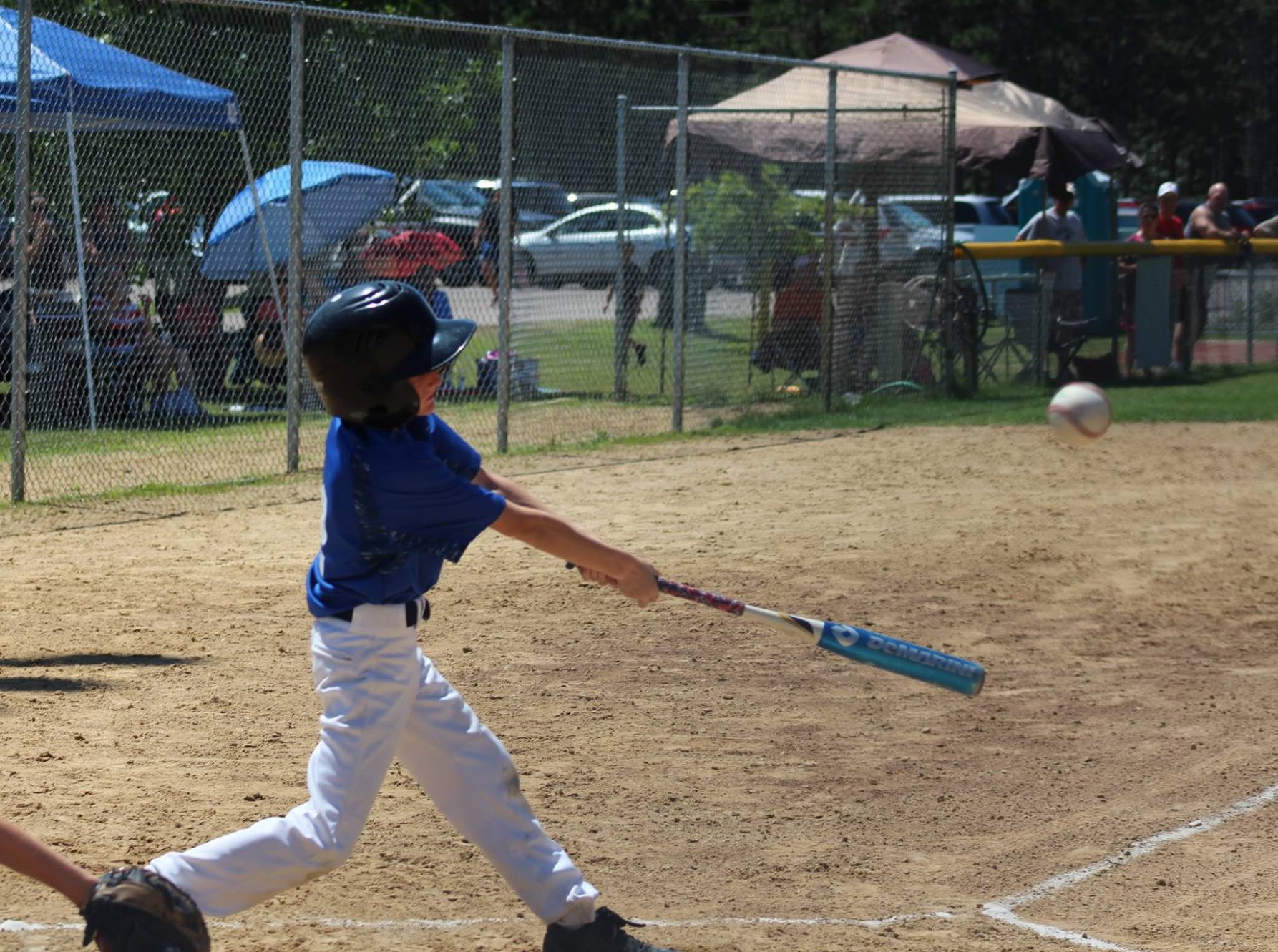 Winter Tune Up: Baseball Hitting and Defense